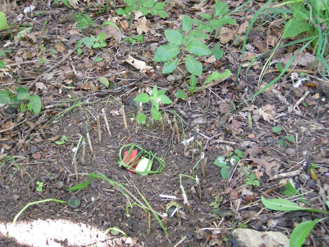 Catéchisme | Camp du Cycle II Prêles 2010